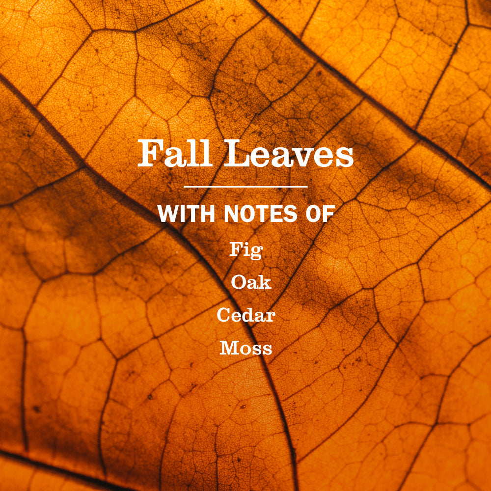Fall Leaves Plug In Scented Oil Refill, 2-Pack