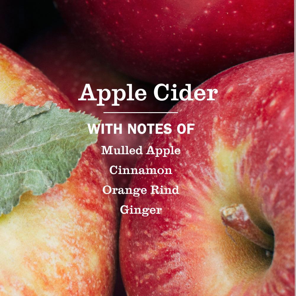 Apple Cider Dish Soap