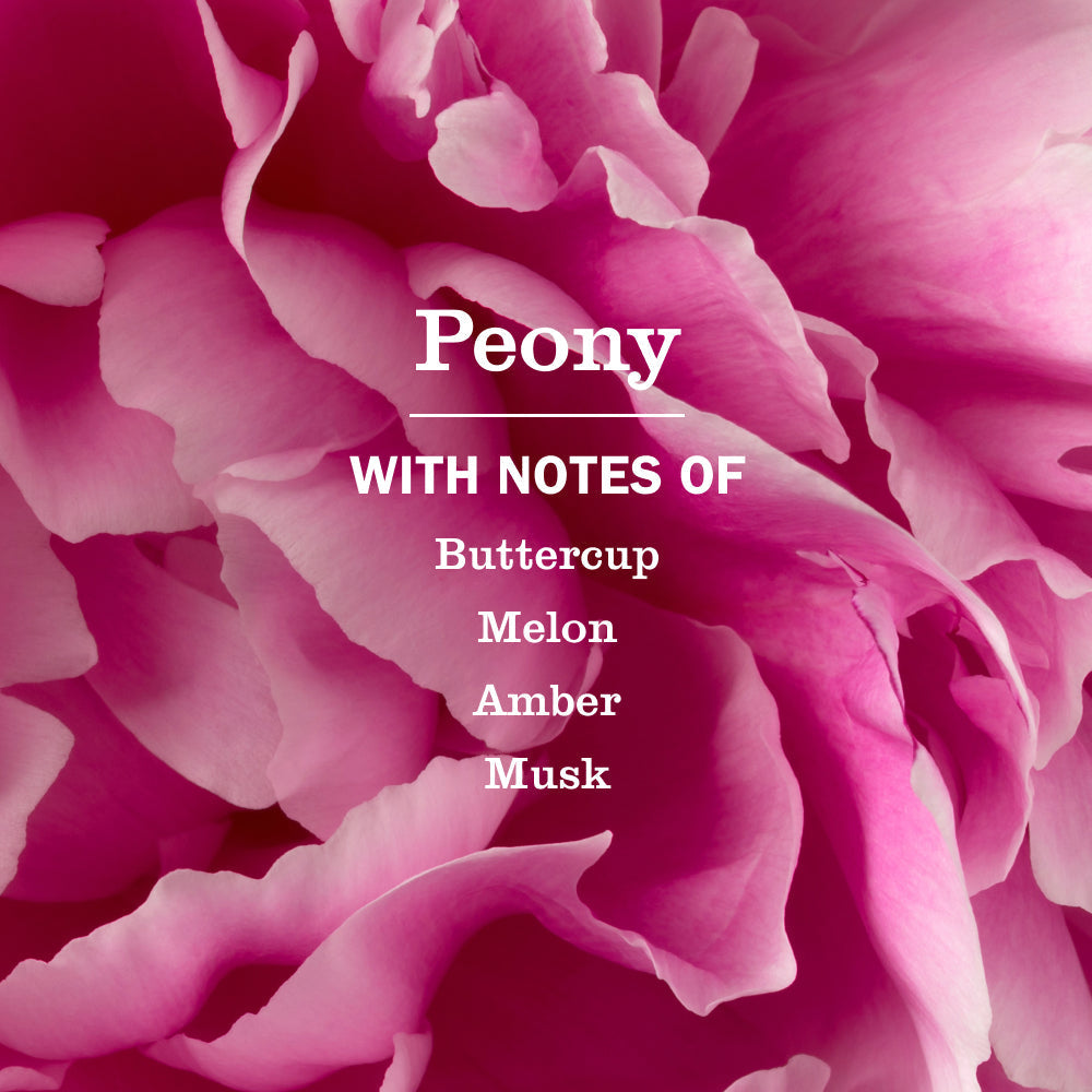 Peony Multi-Surface Everyday Cleaner