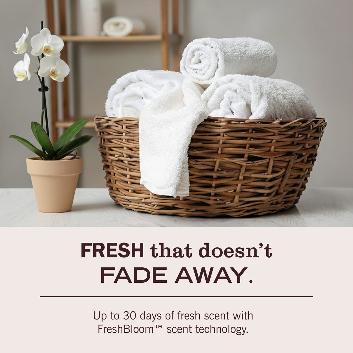 Honeysuckle Laundry Detergent