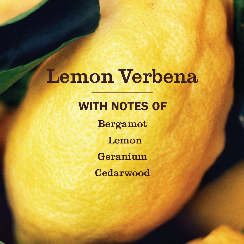 Lemon Verbena Probiotic Daily Shower Spray