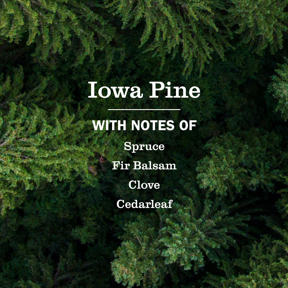 Iowa Pine Multi-Surface Everyday Cleaner 3-count Bundle