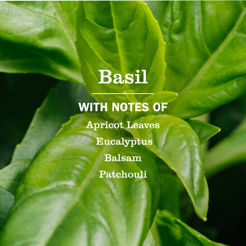 Basil Dish Soap