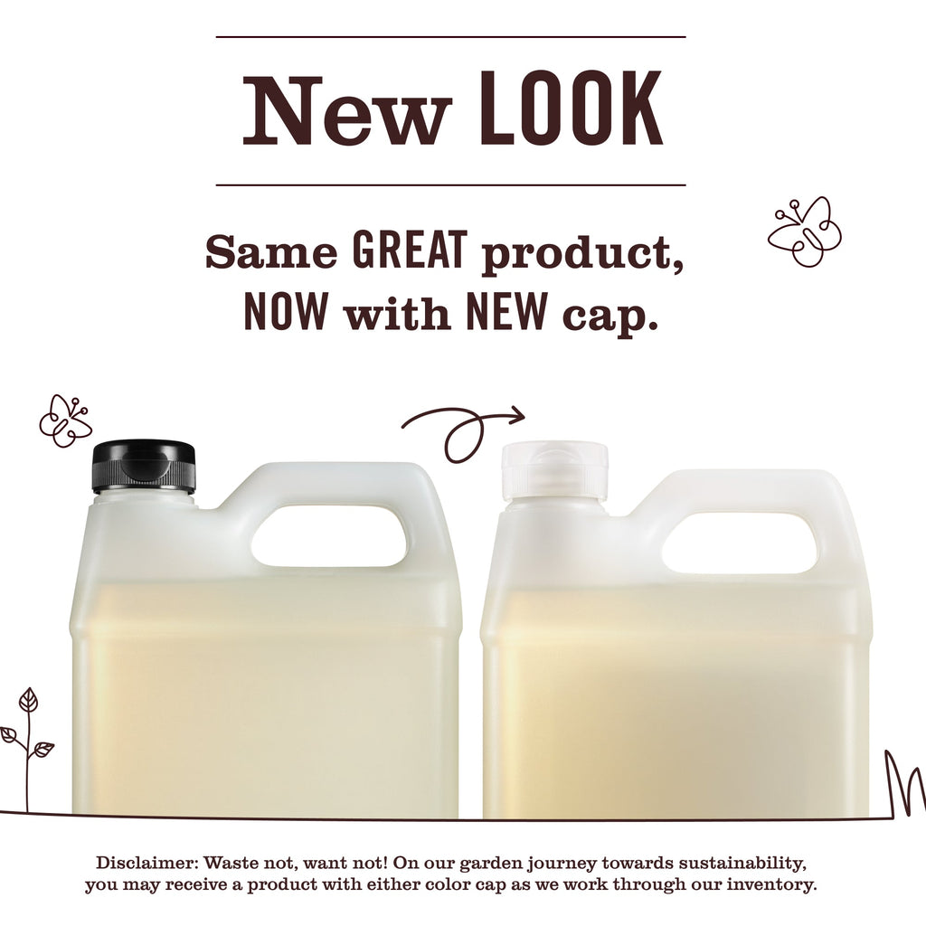 Plum Berry Liquid Hand Soap Refill