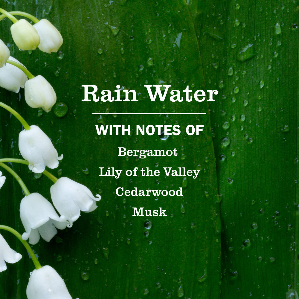 Rain Water Foaming Hand Soap Concentrated Refills, 4 pack